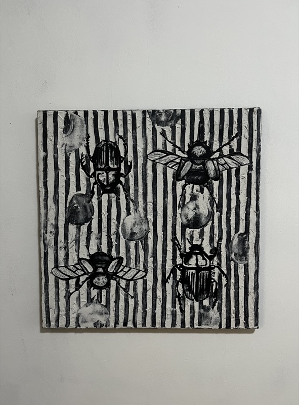 Patterns — beetles and flies over black and white stripes